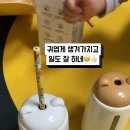 지우개클린 | 노르잇 전동 자동 연필깎이 지우개 청소기 세트 사용후기 초등학생 선물