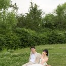셉트22