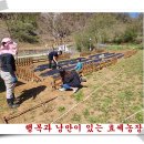 미화농장 이미지