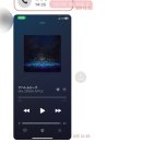 미세스 그린애플 내한 막콘 후기🍏