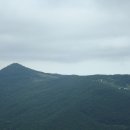 장산목장 Daum카페