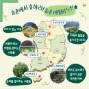신흥2리(동백마을)농촌체험휴양마을 | [공지] 열심히 일한 도시민, 올 여름 농촌에서 休~~ 어때요?