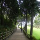 익성전자 | 동래읍성 북문과 내주축성비 (마안산 동래사적공원)