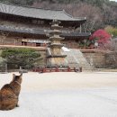 화엄사로