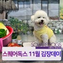 스퀘어독스 롯데남악점 네이버블로그