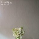 공간향기