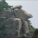 거북이동산 이미지