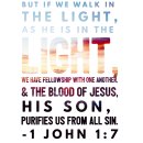INTHELIGHT