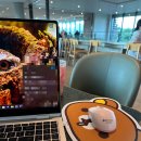 셰프라인 월드 | [제주] '스타벅스 더제주송당파크R' 스벅 10대 매장 중 한곳!