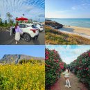 다음렌트카 | 제주렌트카 자유 제주공항 렌트카 후기