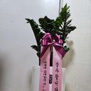 소마통합운동센터