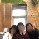 록록타르트