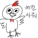 치킨갑 - 송파구 | 치킨갑