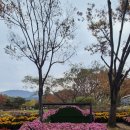 풍성손메밀묵집 | 대구수목원 국화축제