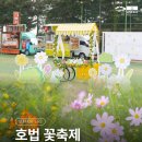 장호원 레포츠공원 축구장 | 항상 꽃길을 걸어요. 이천 호법꽃축제 | 서포터즈
