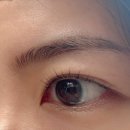 베누스 | 범계속눈썹펌 진짜 정착한 이유, 뷰티베누스 후기