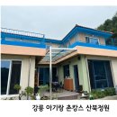 산북정원 | 강릉 촌캉스를 느끼고 싶다면 산북정원 아기랑 다녀온 후기
