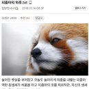 조주빈 피겨스케이팅 갤러리에서 활동했던거 놀라운 달글 이미지