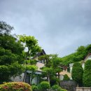 르뮤제(Le Musee) 이미지