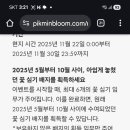 데이블룸