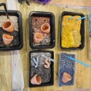 함평군환경관리센터 이미지