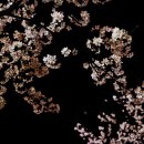 솔잎약국 이미지