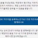 디즈니 플러스 고객센터 문의하고 왔는데 여행할때 보는건 되는 듯 이미지