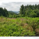 미래부동산중개사무소 이미지