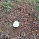 한국란농원 이미지