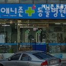 애니존 동물병원 | 수원동물병원 애니존 동물병원 진료 전 알아두면 좋은 내용 정리