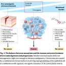 암개시, premalignant, cancer cell 각기 다른 암미세환경 탐구!! 이미지