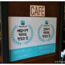 브래드씨 이미지