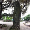 토산1리 이미지