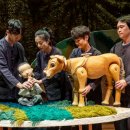 내 친구 송아지 이미지