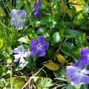 하늘바다펜션 이미지