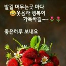 건행 이미지