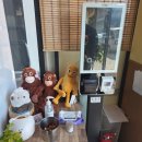 CU혁신우미린점 | [나주혁신도시 국수맛집] 토박이 잔치국수(우미린점) :: 잔치국수 세트(+모듬전, 수육, 보리밥), 바지락...