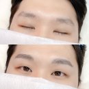 눈썹대장 이미지