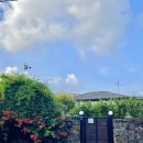 스테이 리네 이미지