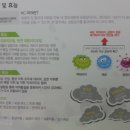 에코서비스