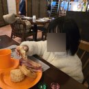 리코더와인샵 | [평창] 인터컨티넨탈 평창 알펜시아❄️