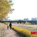 (주)미루플러스 이미지