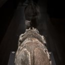 국립공주박물관 이미지