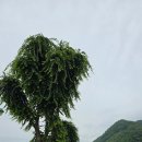 풍산리 마을회관 이미지