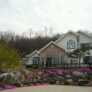 대지-2010 이미지