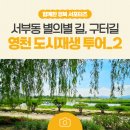 사람과 별빛이 머무는 완산뜨락 | 영천시 도시재생 투어 2_서부동 별의별 길, 구터길