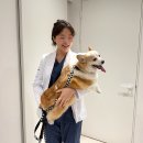 인천 강아지 건강검진 잘 보는 곳, 아롬동물암센터 방문 후기