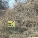 남양마트앞 | 26년 3월 화성 남양캠핑장 | 경기도 수도권캠핑장 사이트 선착순배정 (4x6 사이트 8번 후기)