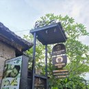 몽키식당 | 발리 우붓 맛집｜Compound Warung 나시짬뿌르 솔직 후기 (우붓 몽키포레스트 발리가정식맛집)