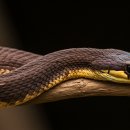 별미랑 고기랑 이미지